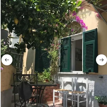 Apartment Little Lemon Garden